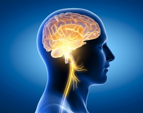 Bảo Vệ và Phát Triển Não Bộ: Lợi Ích Từ Thói Quen Lành Mạnh