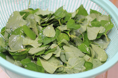 ăn sống rau diếp cá