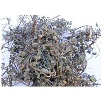 Nhọ nồi sao khô