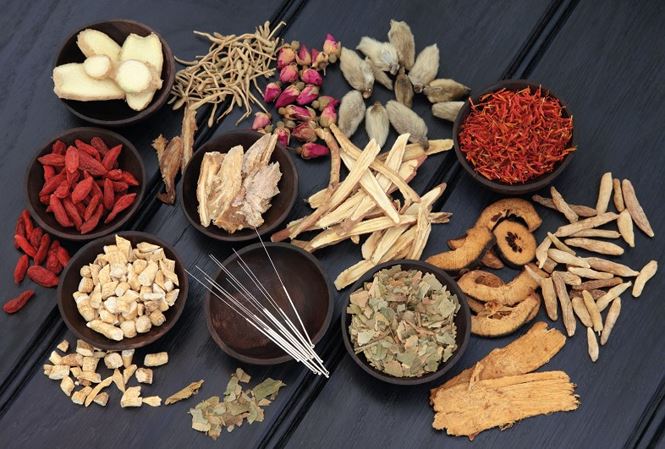 Thuốc đông y chữa mỡ trong máu cao