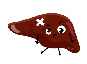 Các bệnh thường gặp ở gan và cách phòng  tránh