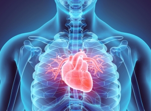 Những điều người bệnh tim cần đặc biệt lưu ý