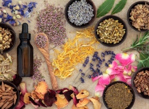 Top những cách trị huyết áp cao hiệu quả từ thảo mộc thiên nhiên