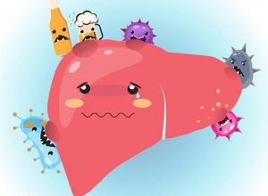 Suy giảm chức năng gan nên ăn gì? kiêng gì?