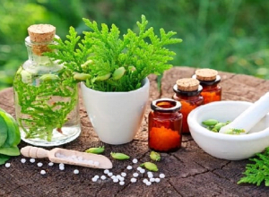 5 loại thảo dược chữa phì đại tiền liệt tuyến an toàn hiệu quả