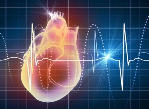 Nguyên nhân rối loạn nhịp tim bắt nguồn từ đâu? Yếu tố nguy cơ và phòng ngừa