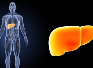 Bỏ túi 9 cách đối phó với gan nhiễm mỡ độ 1 hiệu quả