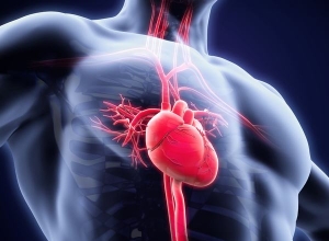 Suy tim dộ 3 sống được bao lâu? Đều phụ thuộc vào thói quen sống của bạn