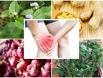 Hướng dẫn cách chữa thoái hóa khớp gối với thuốc nam hiệu quả
