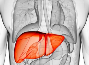 Làm cách nào để tốt cho gan? Duy trì những thói quen dưới đây để giúp gan luôn khỏe mạnh.