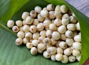 Mẹo chữa mất ngủ bằng hạt sen cực hiệu quả không phải ai cũng biết.