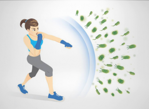 Gợi ý một số bài tập thể dục giúp tăng sức đề kháng trong mùa dịch