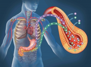 Tại sao các triệu chứng rối loạn đường huyết lại quan trọng đối với người tiểu đường?