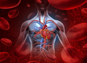 Top 13 thực phẩm tốt cho tim mạch nên xuất hiện trong bữa ăn hàng ngày