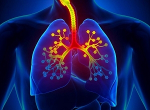 Co thắt phế quản: Bạn hoàn toàn có thể ngăn ngừa tình trạng co thắt phế quản từ bây giờ. 