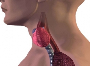 Nhận diện ngay các dấu hiệu ung thư tuyến giáp để kịp thời chữa trị