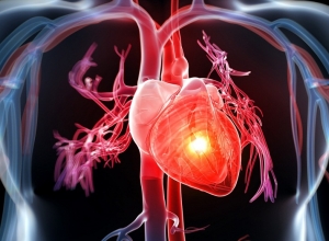 Cảnh báo 3 dấu hiệu bệnh thiếu máu cơ tim tuyệt đối không được chủ quan