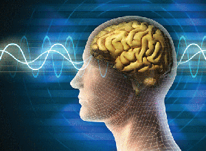 Nguyên nhân nào gây suy giảm trí nhớ ở người kém tuổi? Tìm hiểu ngay để biết