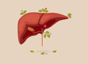 Cách chữa nóng gan tại nhà đơn giản nhưng hiệu quả không ngờ