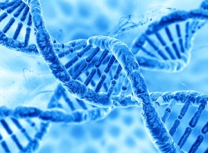 Bệnh tim bẩm sinh: Những yếu tố nào làm tăng khả năng trẻ em mắc bệnh tim?