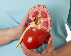 Bệnh Sỏi Mật Có Nguy Hiểm Không? Tìm hiểu ngay để biết