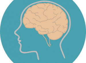 Dấu hiệu sớm của bệnh thiếu máu não là gì? Tìm hiểu ngay trước khi quá muộn