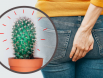 Trĩ nội độ 1: Nguyên nhân là gì? Cách điều trị như nào?