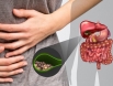 Chữa sỏi mật bằng mẹo dân gian liệu có hiệu quả như lời đồn?