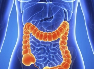Nguyên nhân nào gây ung thư ruột non? Khi nào cần gặp bác sĩ?