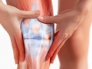 Cảnh báo những bệnh xương khớp thường gặp và cách phòng tránh hiệu quả