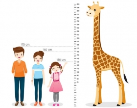 Muốn tăng chiều cao nhanh - Phải làm sao?