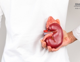 Bệnh sỏi thận và chế độ ăn uống phòng bệnh như thế nào?