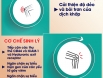 Chạy chậm mang đến nhiều lợi ích hơn cho sức khỏe