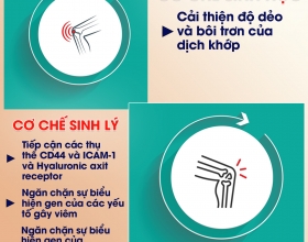 Chạy chậm mang đến nhiều lợi ích hơn cho sức khỏe