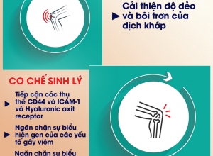 Chạy chậm mang đến nhiều lợi ích hơn cho sức khỏe