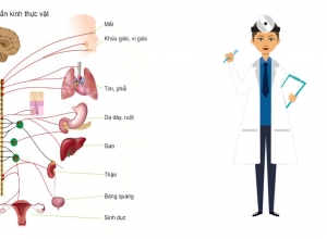 Rối loạn thần kinh thực vật có chữa được không?