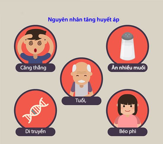 Top những cách trị huyết áp cao hiệu quả từ thảo mộc thiên nhiên