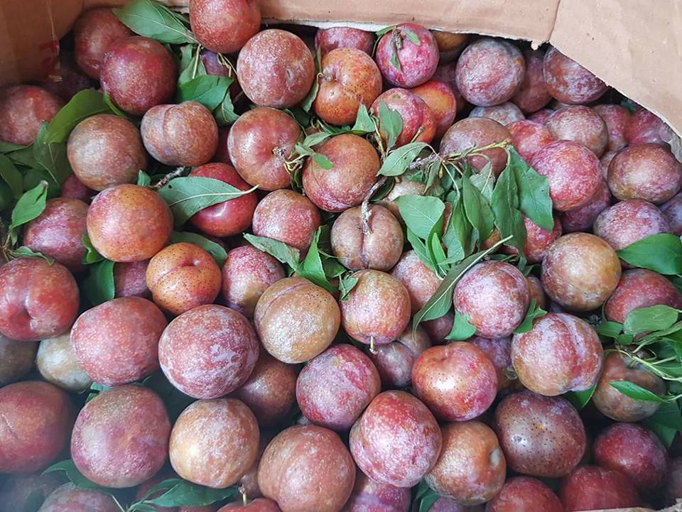 Những loại trái cây người tiểu đường không nên ăn