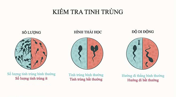Sinh lý nam giới theo từng độ tuổi thay đổi như thế nào?