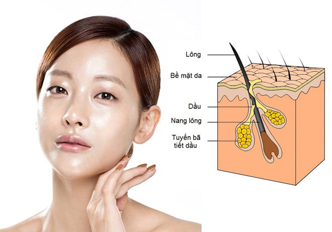 7 nguyên nhân khiến da mặt bị nhờn và biện pháp chăm sóc da đúng cách