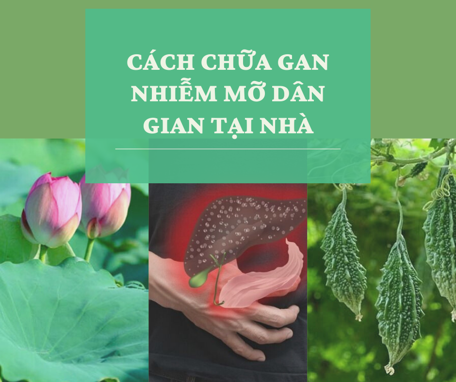 Mẹo chữa gan nhiễm mỡ bằng cách dân gian tại nhà