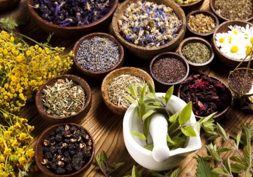 5 loại thảo dược chữa phì đại tiền liệt tuyến an toàn hiệu quả