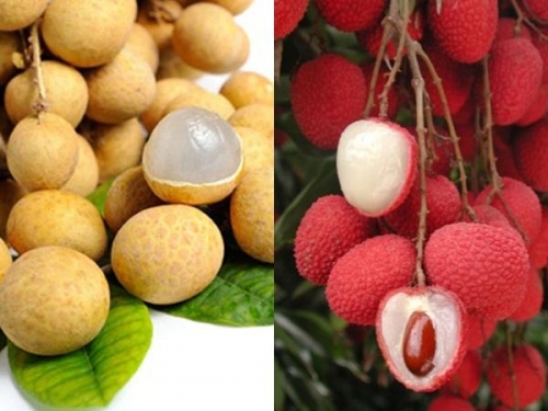 Những loại trái cây người tiểu đường không nên ăn