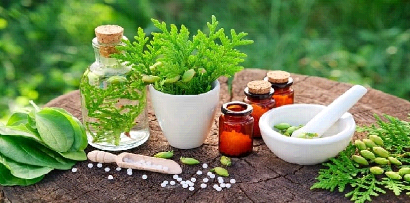 5 loại thảo dược chữa phì đại tiền liệt tuyến an toàn hiệu quả