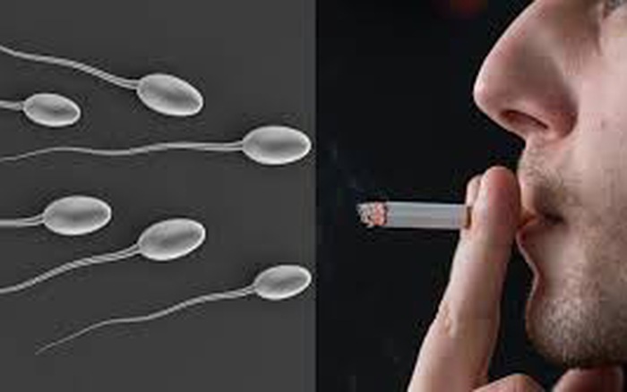 Sinh lý nam giới theo từng độ tuổi thay đổi như thế nào?