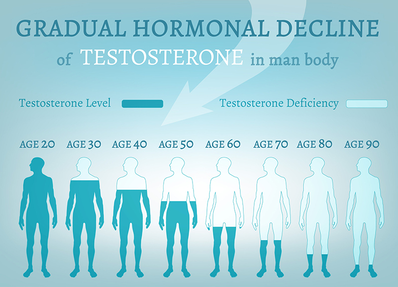 Những thực phẩm làm giảm Testosterone mà phái mạnh nên biết