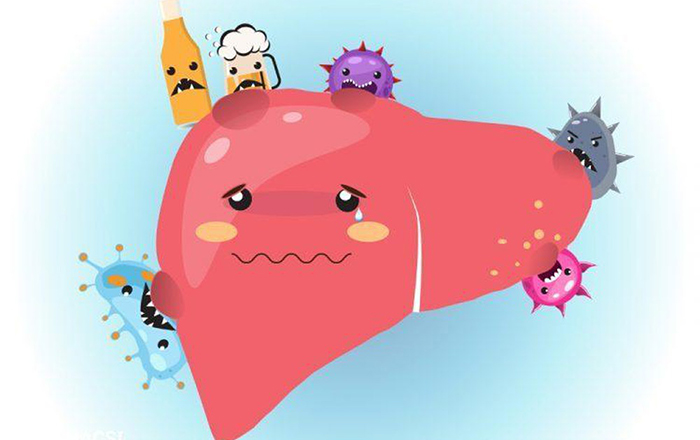 Suy giảm chức năng gan nên ăn gì? kiêng gì?