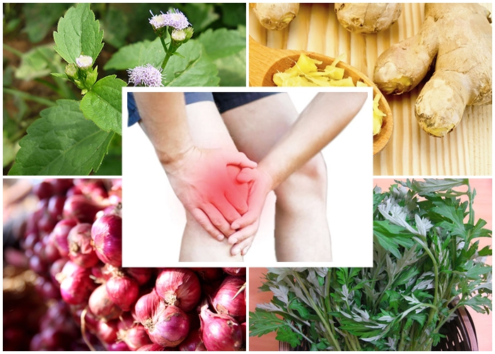 Cách chữa thoái hóa khớp gối bằng thuốc nam hiệu quả 