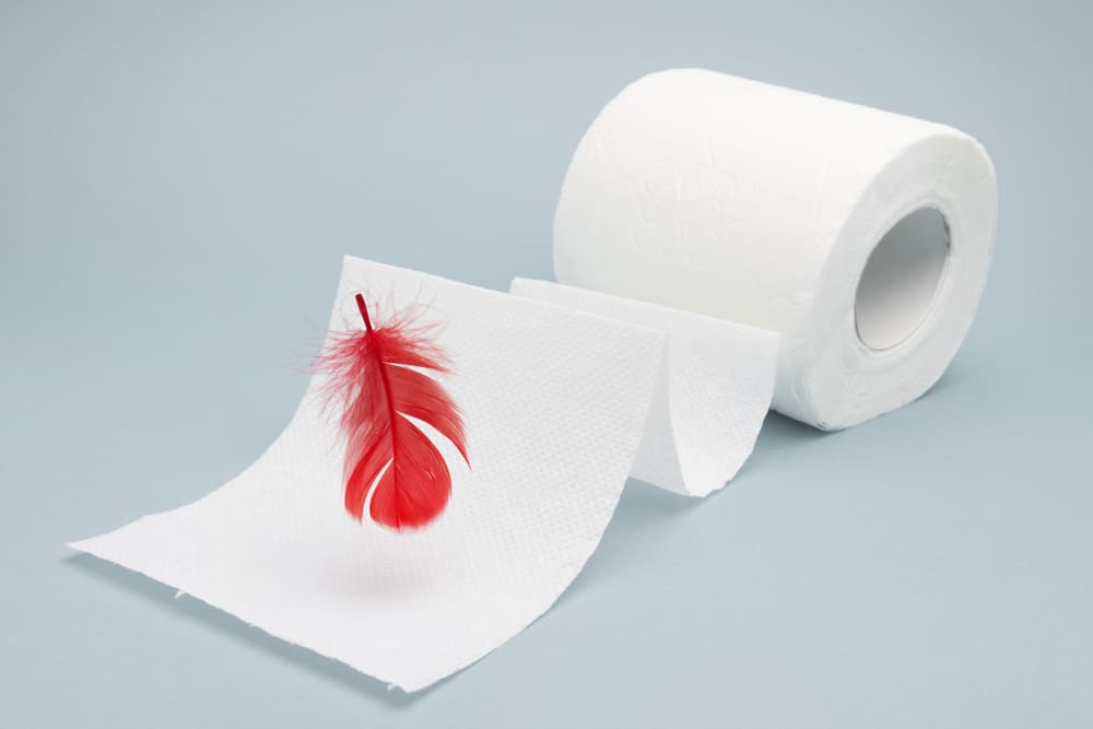 Trĩ chảy máu có nguy hiểm hay không?