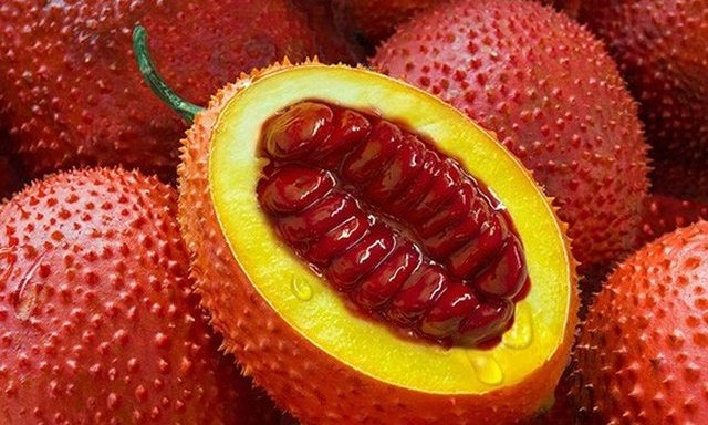 Mẹo chữa bệnh trĩ bằng hạt gấc hiệu quả bạn nên biết